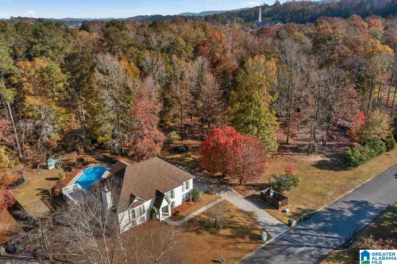 4512 Little Ridge Drive Birmingham, AL 35242 - Photo 4 of 46