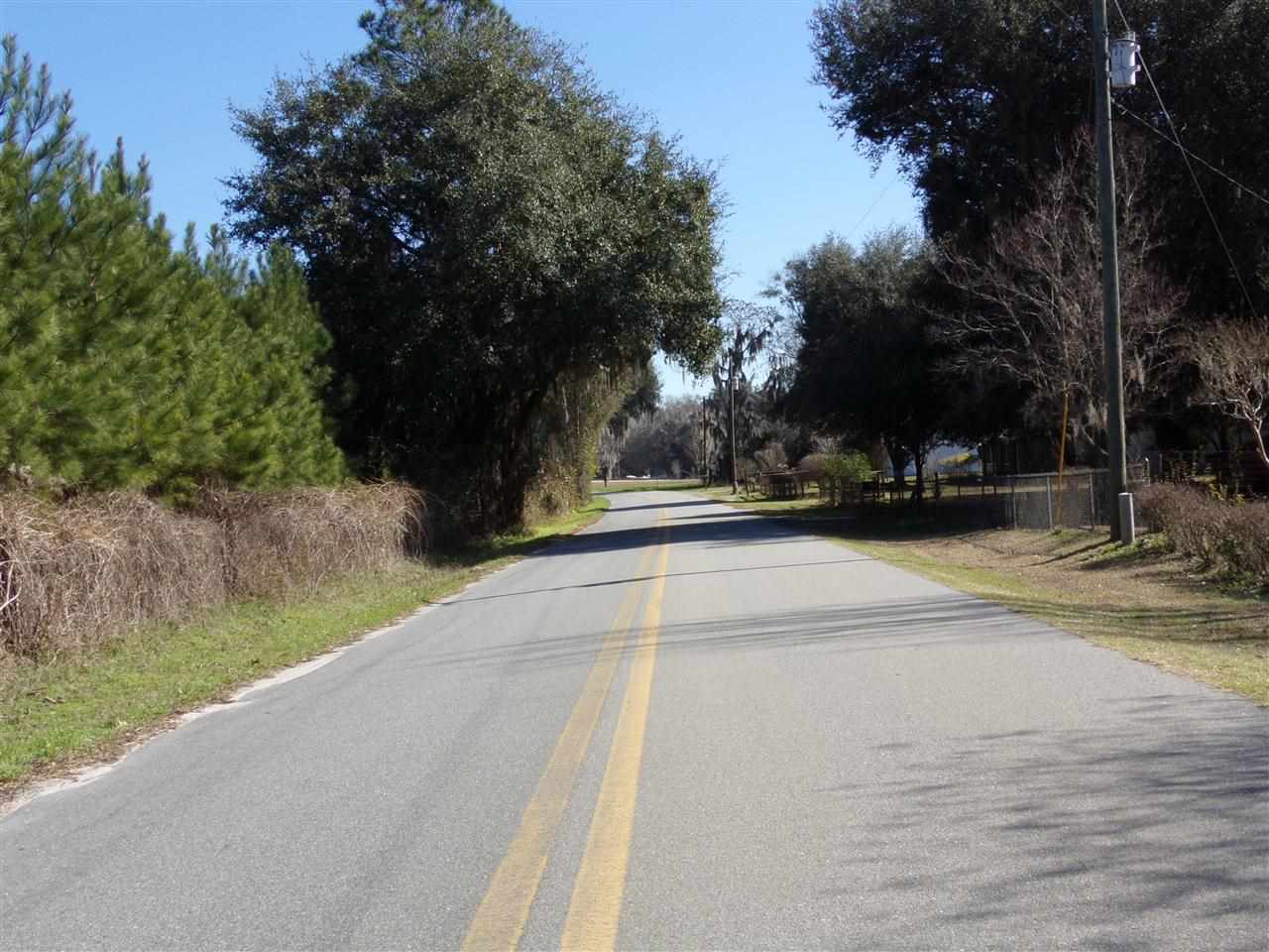 1041 St Thomas Church Road Madison, FL 32340 - Photo 1 of 23