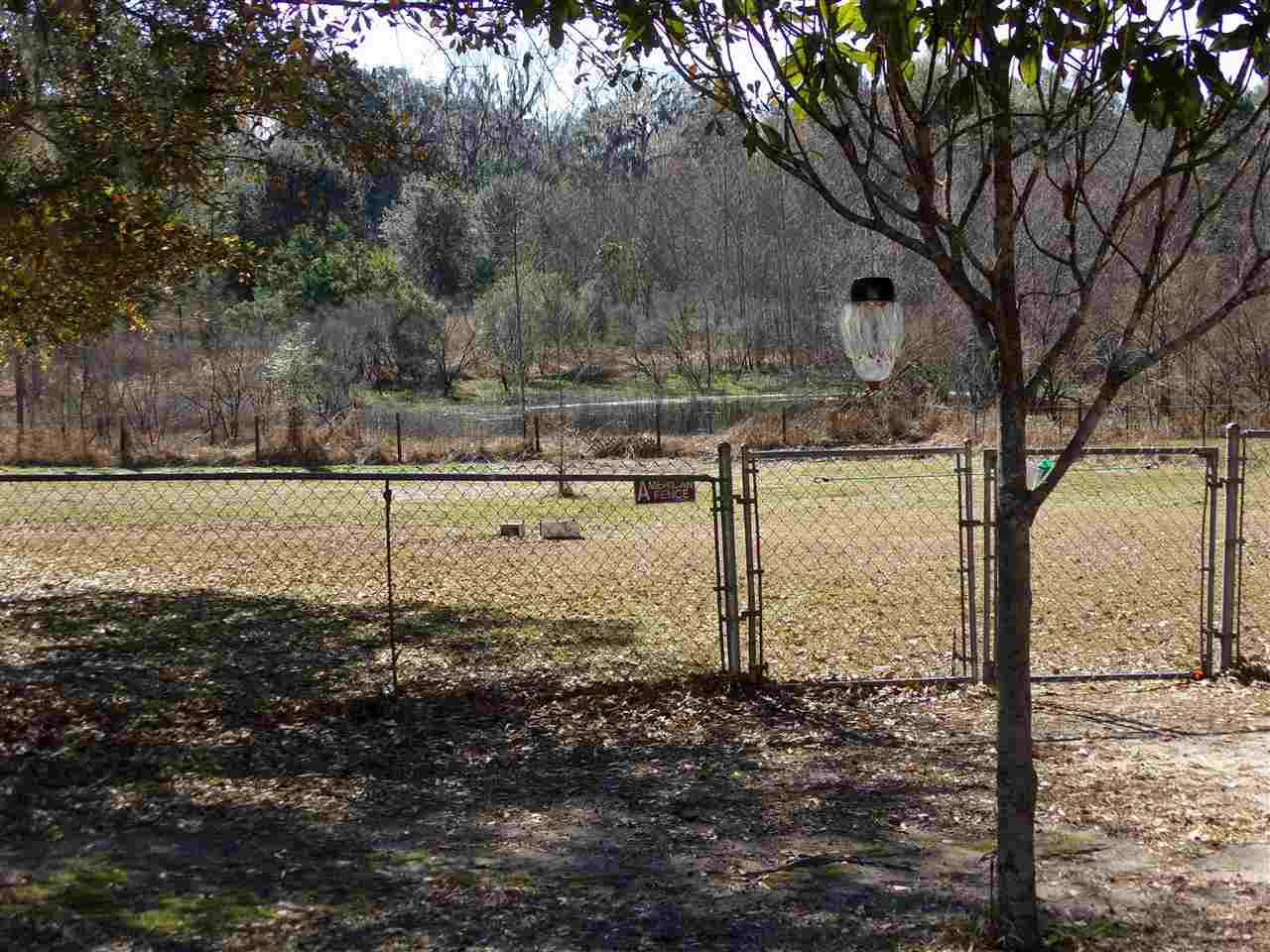 1041 St Thomas Church Road Madison, FL 32340 - Photo 3 of 23
