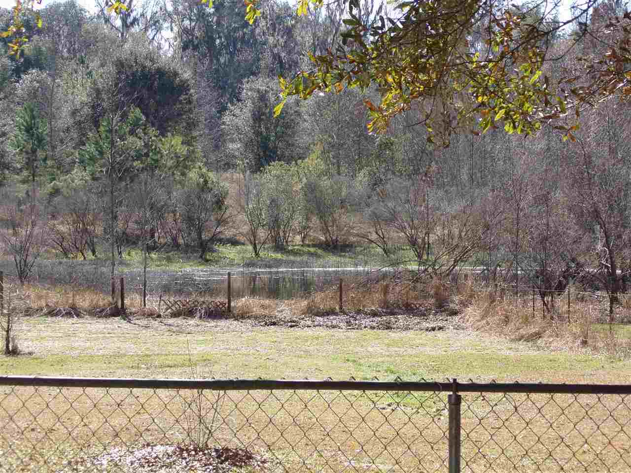 1041 St Thomas Church Road Madison, FL 32340 - Photo 5 of 23