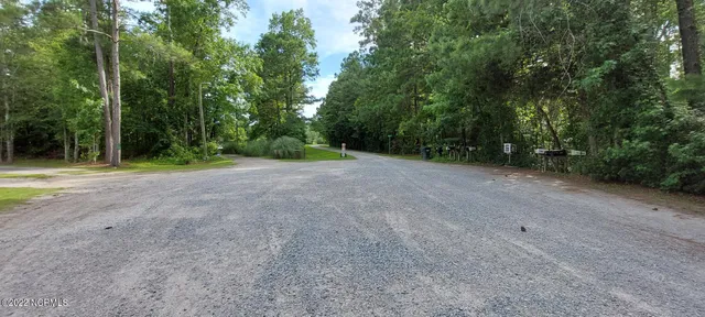 $239,000 | 1099 Hardison Lee Farm Road, Arapahoe, NC 28510
