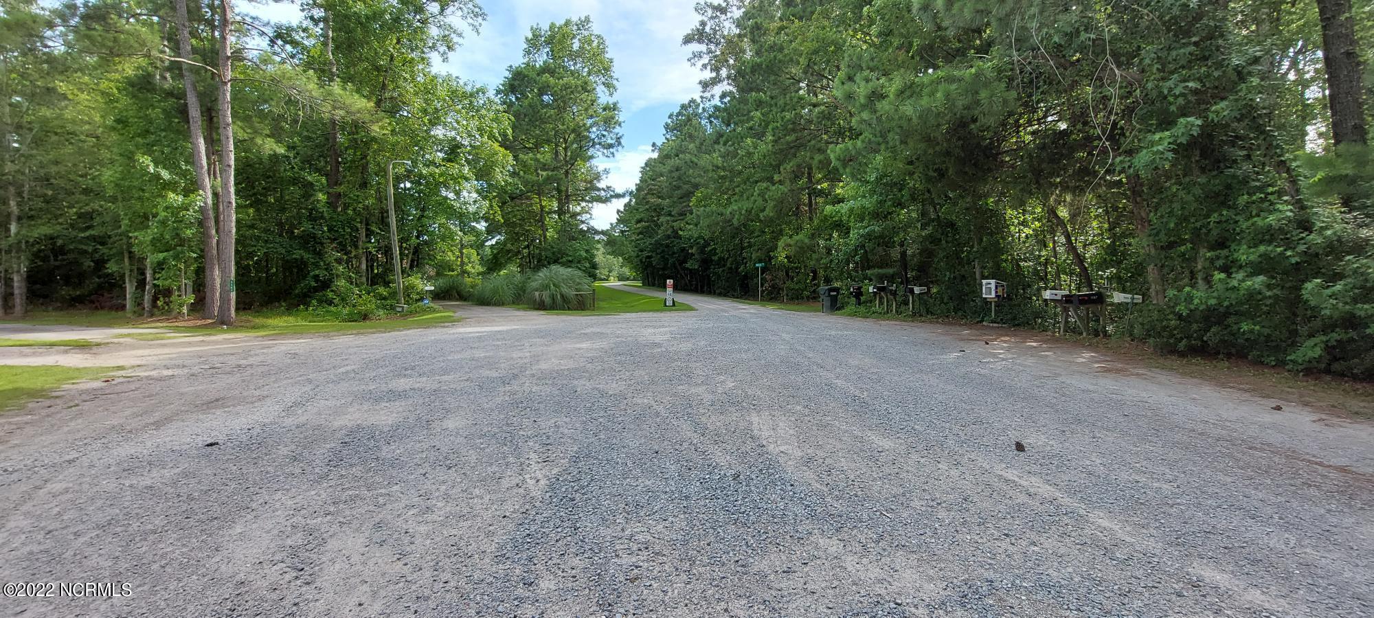 1099 Hardison Lee Farm Road Arapahoe, NC 28510 - Photo 17 of 17 Street Right