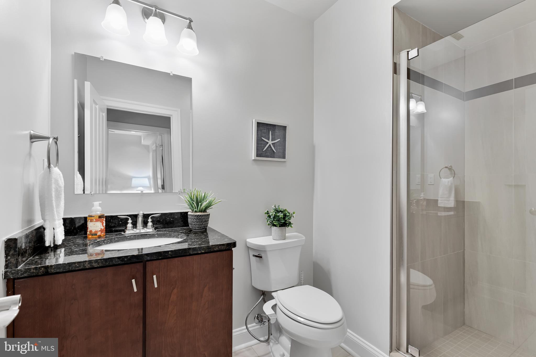 3925 Fulton Street Northwest, Unit 1 Washington, DC 20007 - Photo 18 of 21