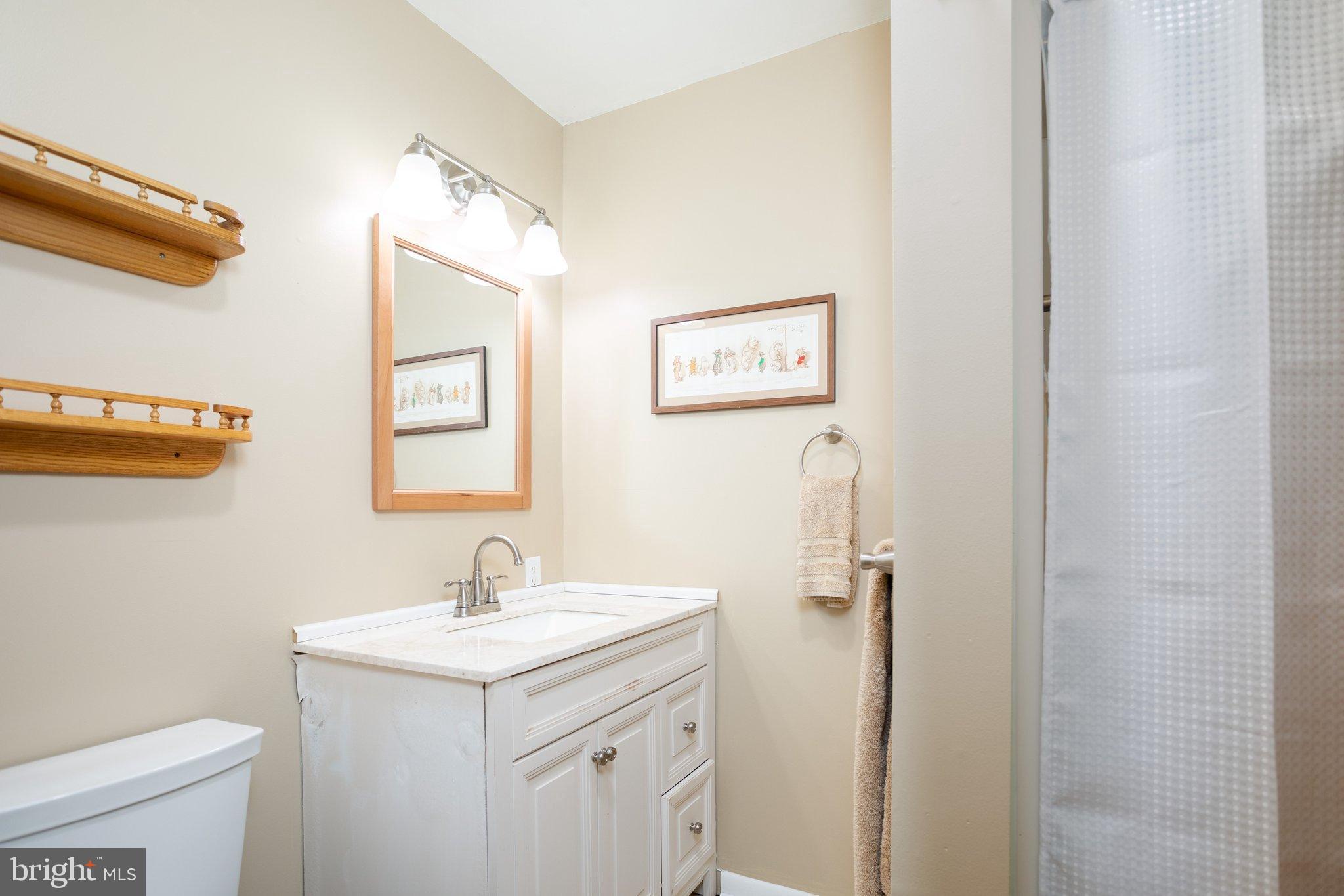 17207 Hunter Green Road Upperco, MD 21155 - Photo 13 of 56 Full Bath with Shower