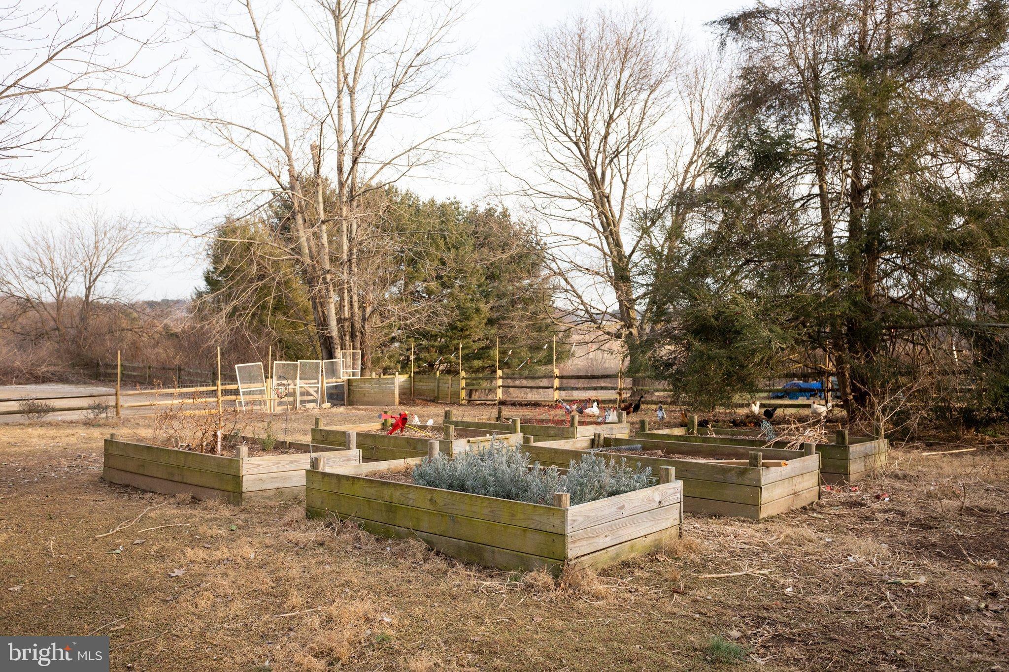 17207 Hunter Green Road Upperco, MD 21155 - Photo 25 of 56 Raised garden beds in side yard