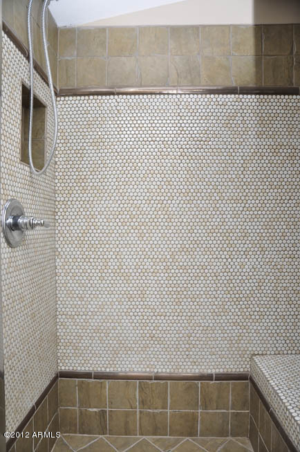 5727 South 21st Terrace Phoenix, AZ 85040 - Photo 16 of 31 C:\fakepath\Master Bath-Shower
