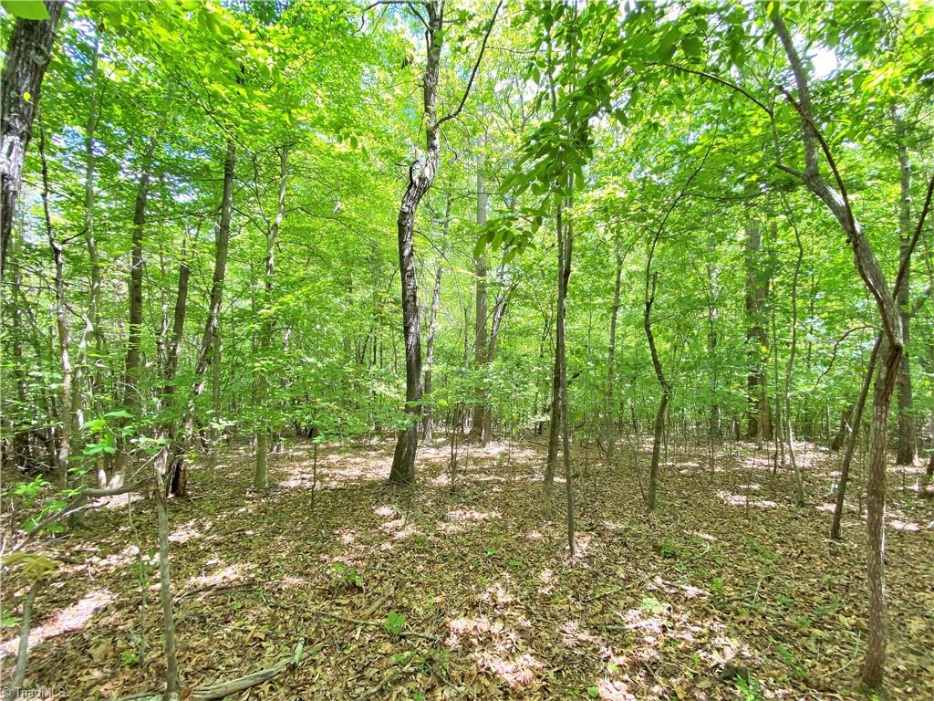 8534 Hudson James Road Summerfield, NC 27358 - Photo 14 of 42 Gallery Image 14