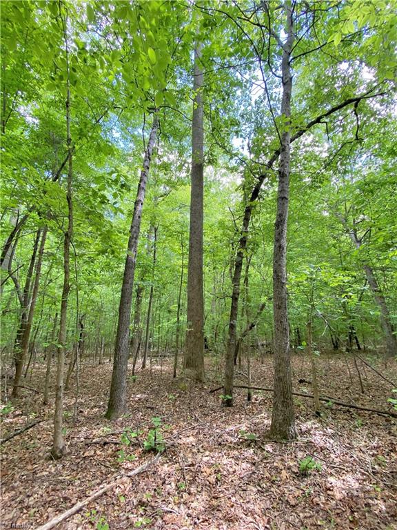 8534 Hudson James Road Summerfield, NC 27358 - Photo 15 of 42 Gallery Image 15