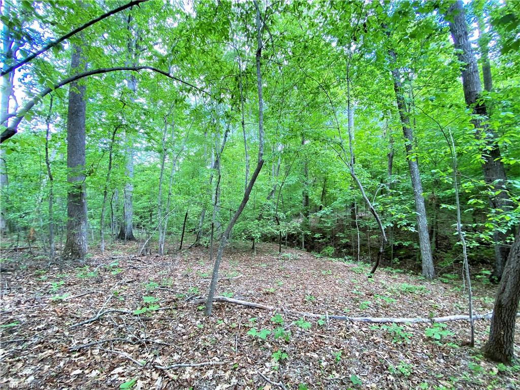 8534 Hudson James Road Summerfield, NC 27358 - Photo 16 of 42 Gallery Image 16