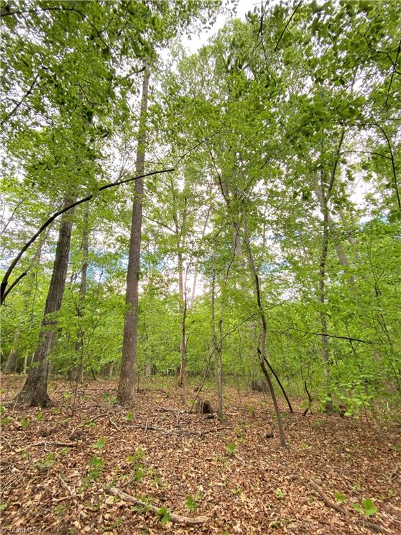 8534 Hudson James Road Summerfield, NC 27358 - Photo 17 of 42 Gallery Image 17