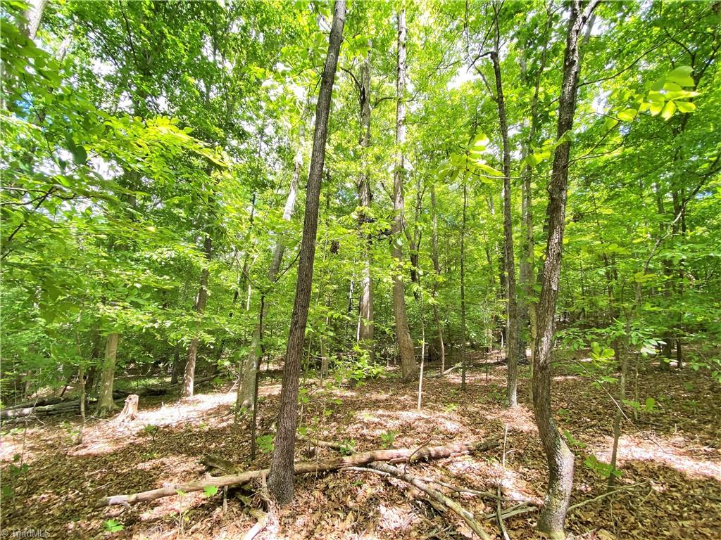 8534 Hudson James Road Summerfield, NC 27358 - Photo 18 of 42 Gallery Image 18