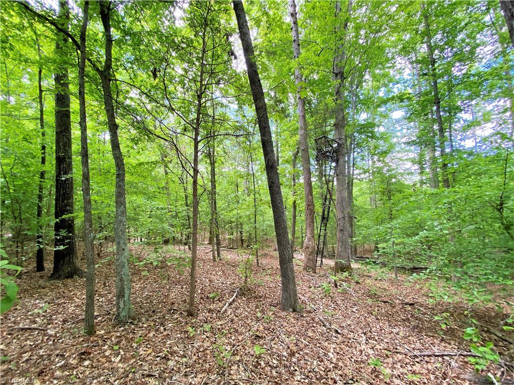 8534 Hudson James Road Summerfield, NC 27358 - Photo 20 of 42 Gallery Image 20
