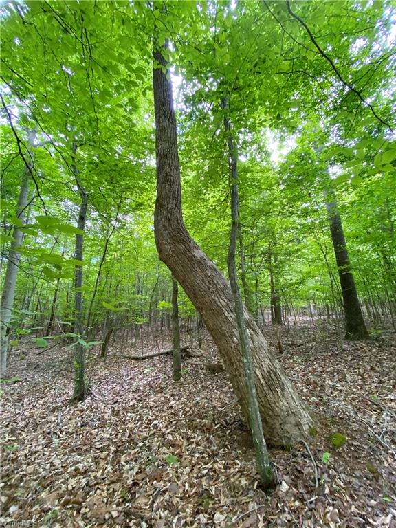 8534 Hudson James Road Summerfield, NC 27358 - Photo 21 of 42 Gallery Image 21