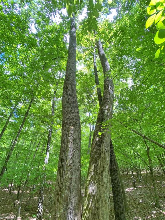8534 Hudson James Road Summerfield, NC 27358 - Photo 22 of 42 Gallery Image 22