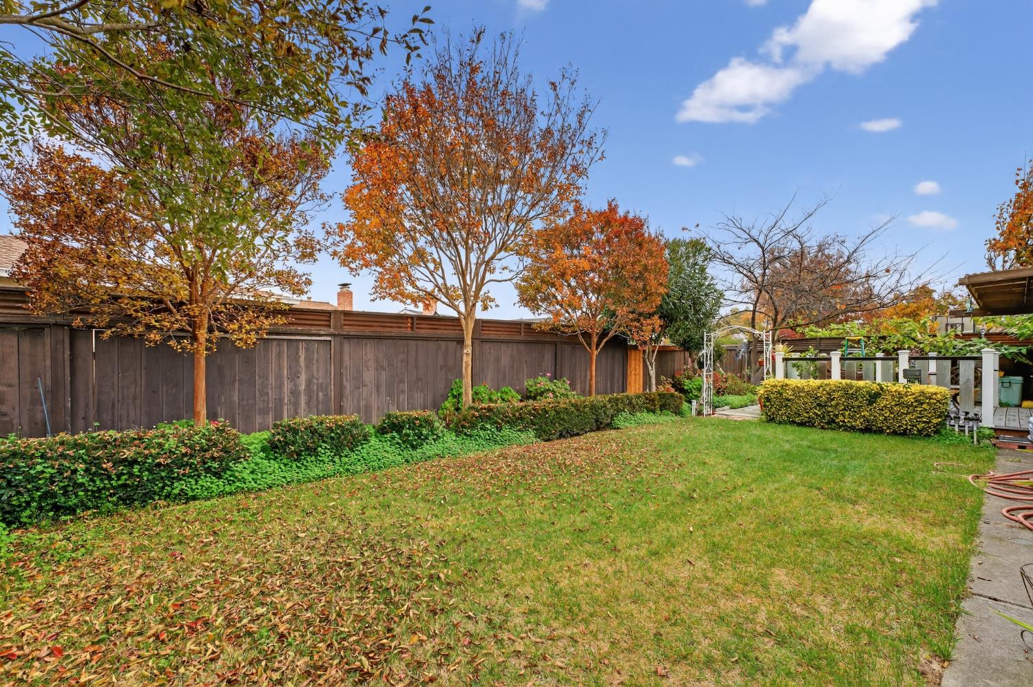 4625 Ruth Way Union City, CA 94587 - Photo 27 of 60 a view of a yard in front of house