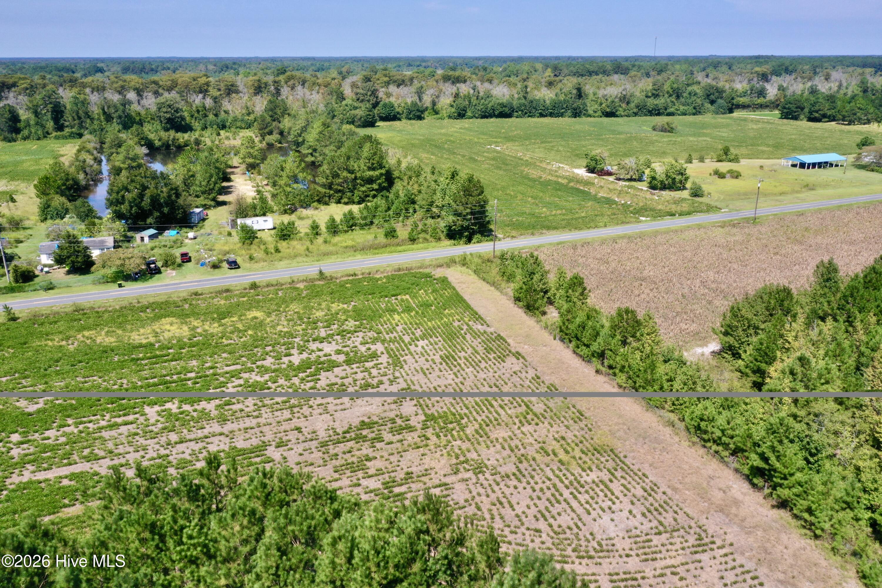 0 Bud Stephens Road Evergreen, NC 28438 - Photo 5 of 12 Gallery Image 5