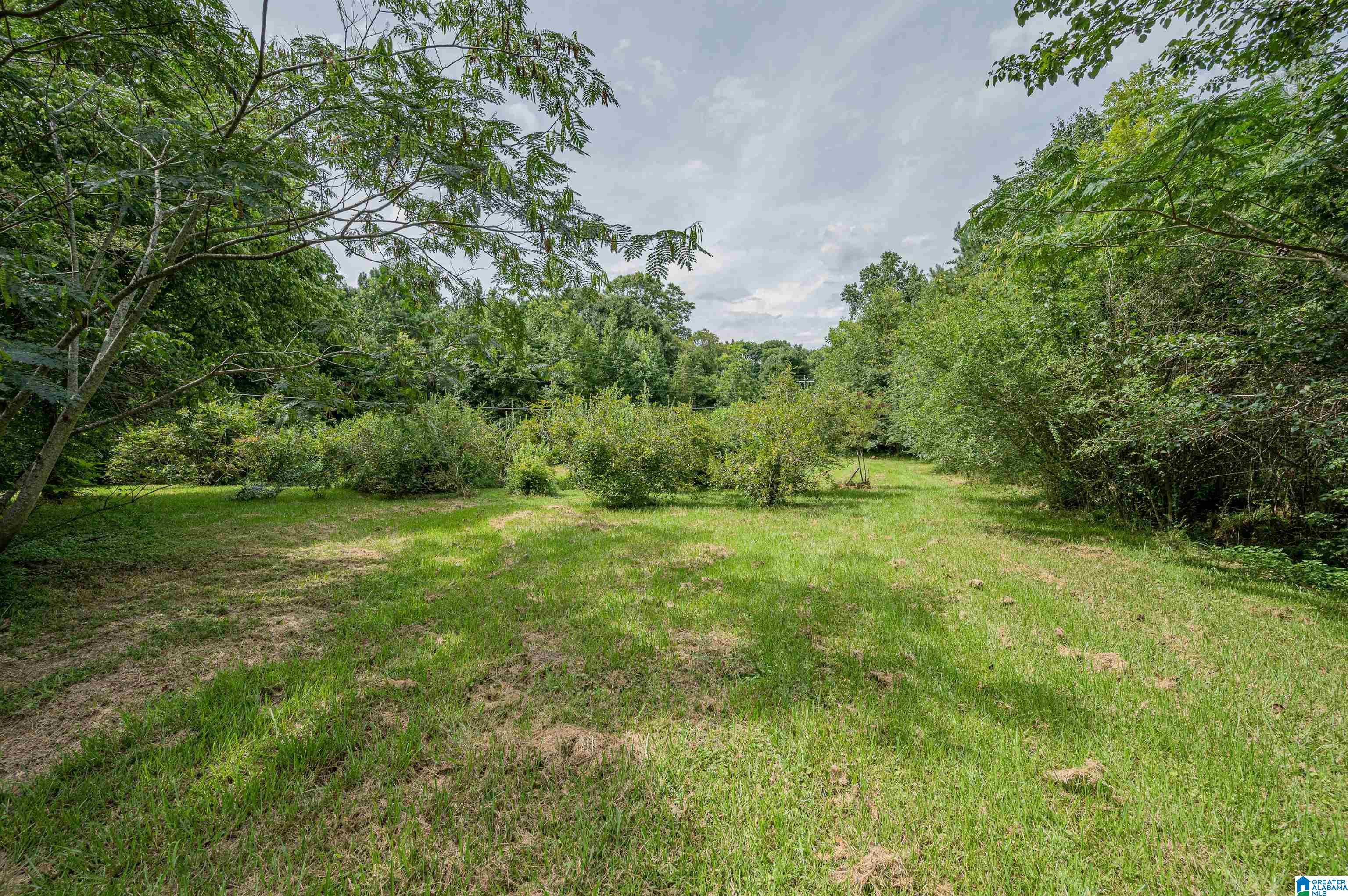 2135 Springdale Road Bessemer, AL 35022 - Photo 40 of 42