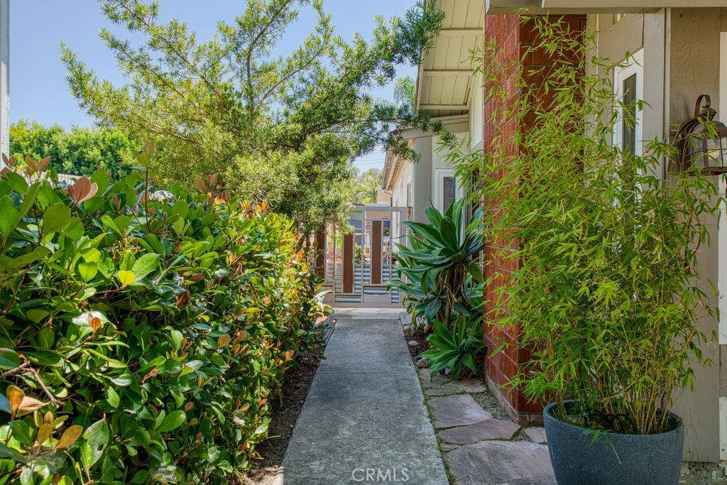 25495 Morningstar Road Lake Forest, CA 92630 - Photo 7 of 31 a view of path in between the bunch of plants