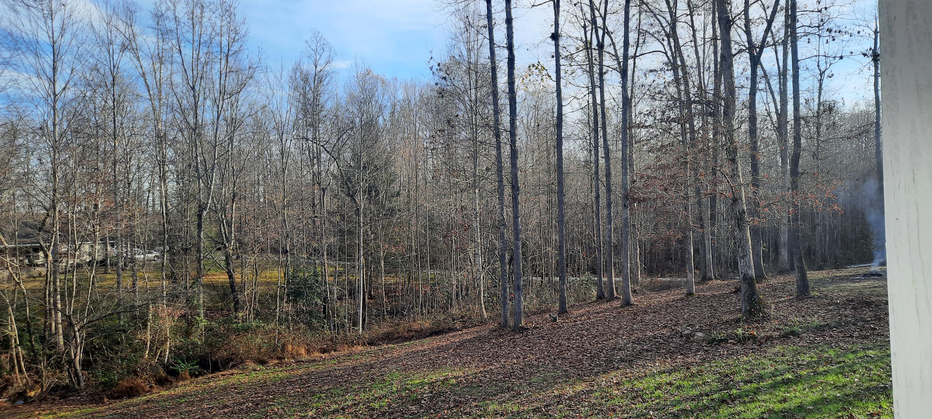 224 Moberly Bend Road Corbin, KY 40701 - Photo 24 of 58 20241117_154534