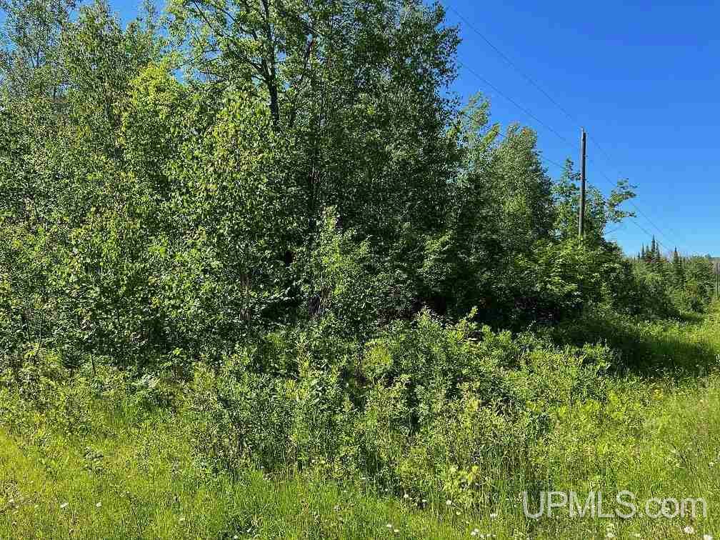 Tbd1 Townline Road Lanse, MI 49946 - Photo 12 of 20 Gallery Image 12