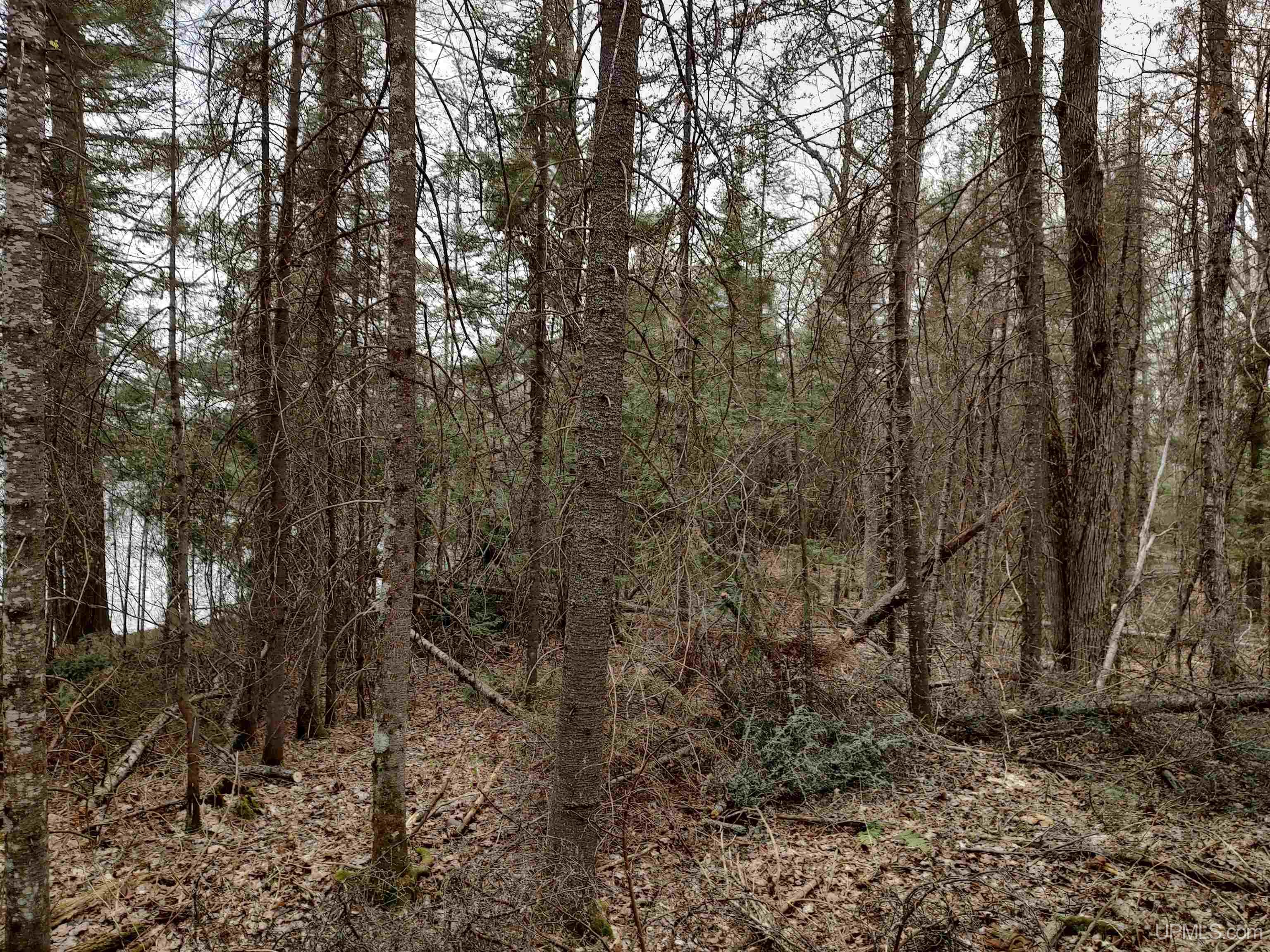 10 Fence Lake Road Michigamme, MI 49861 - Photo 16 of 42