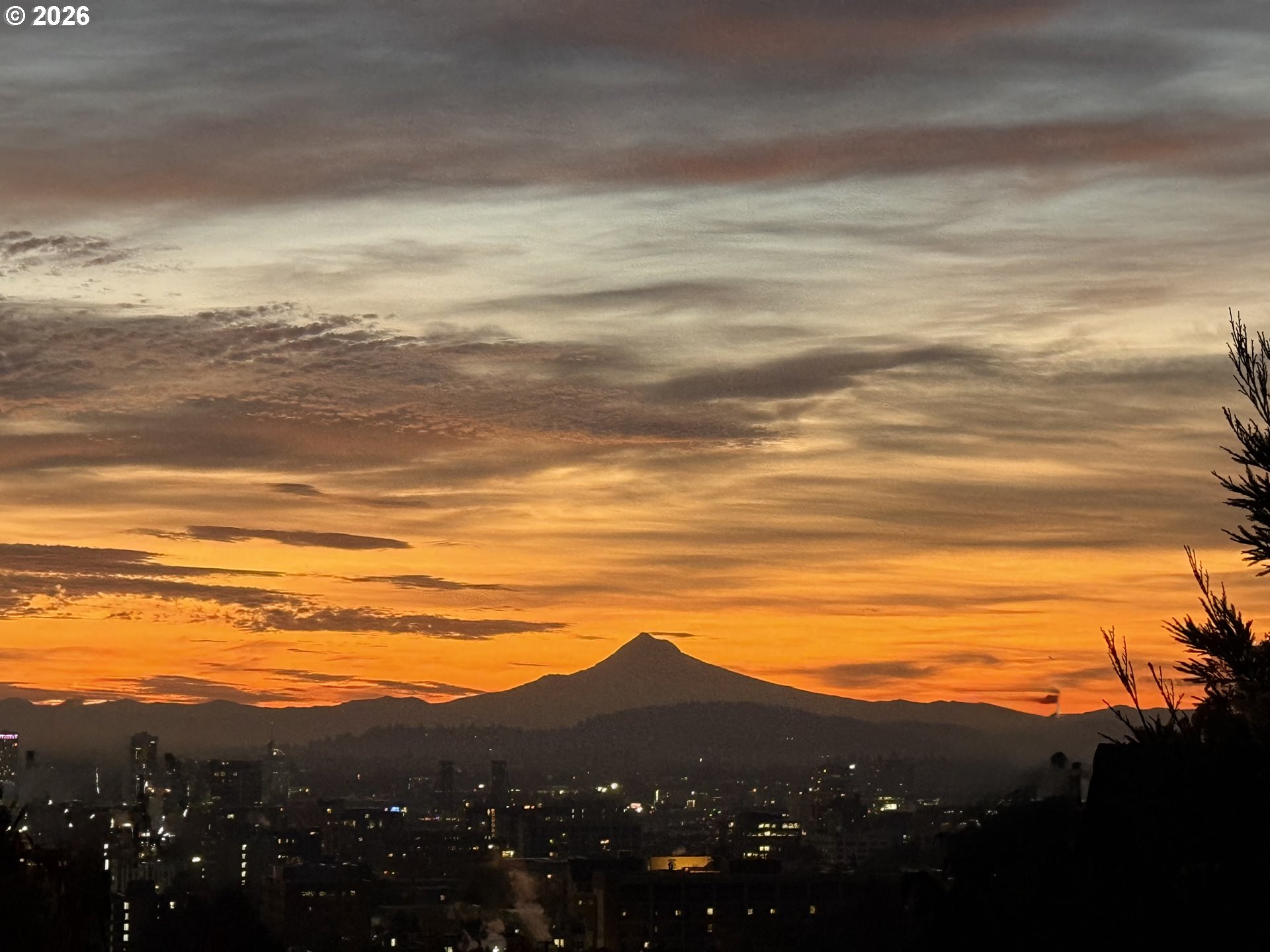 1262 Northwest Summit Avenue Portland, OR 97210 - Photo 45 of 47
