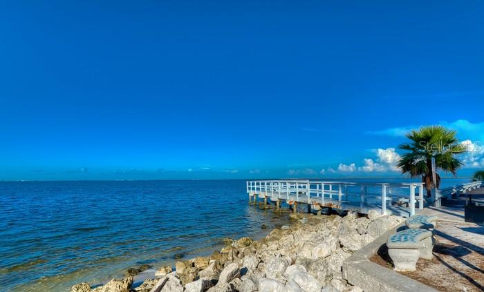 2506 North Rocky Point Drive, Unit 202 Tampa, FL 33607 - Photo 17 of 17 a view of a living room with furniture