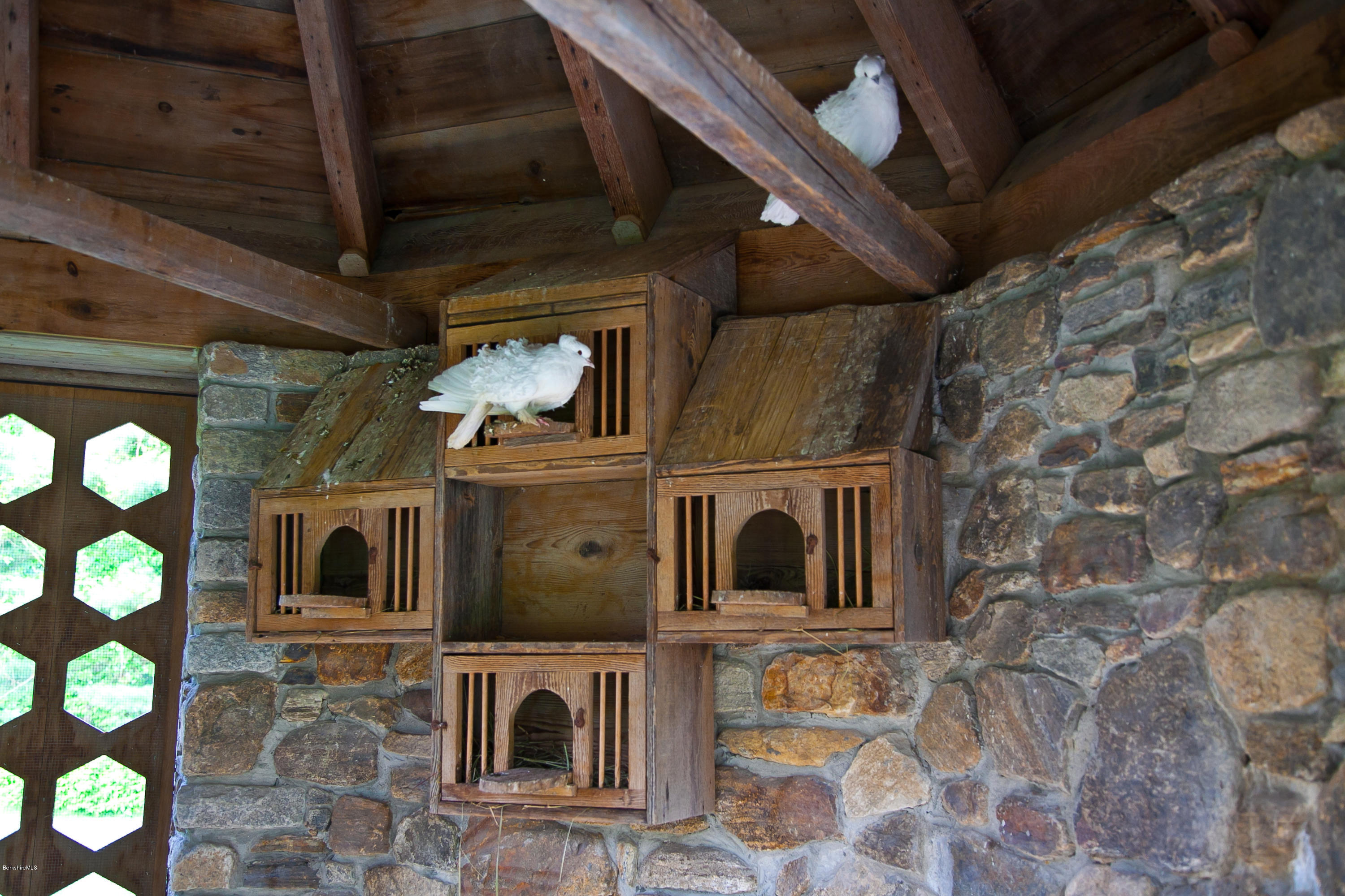 514 Rannapo Road Sheffield, MA 01257 - Photo 73 of 83 60 Doves