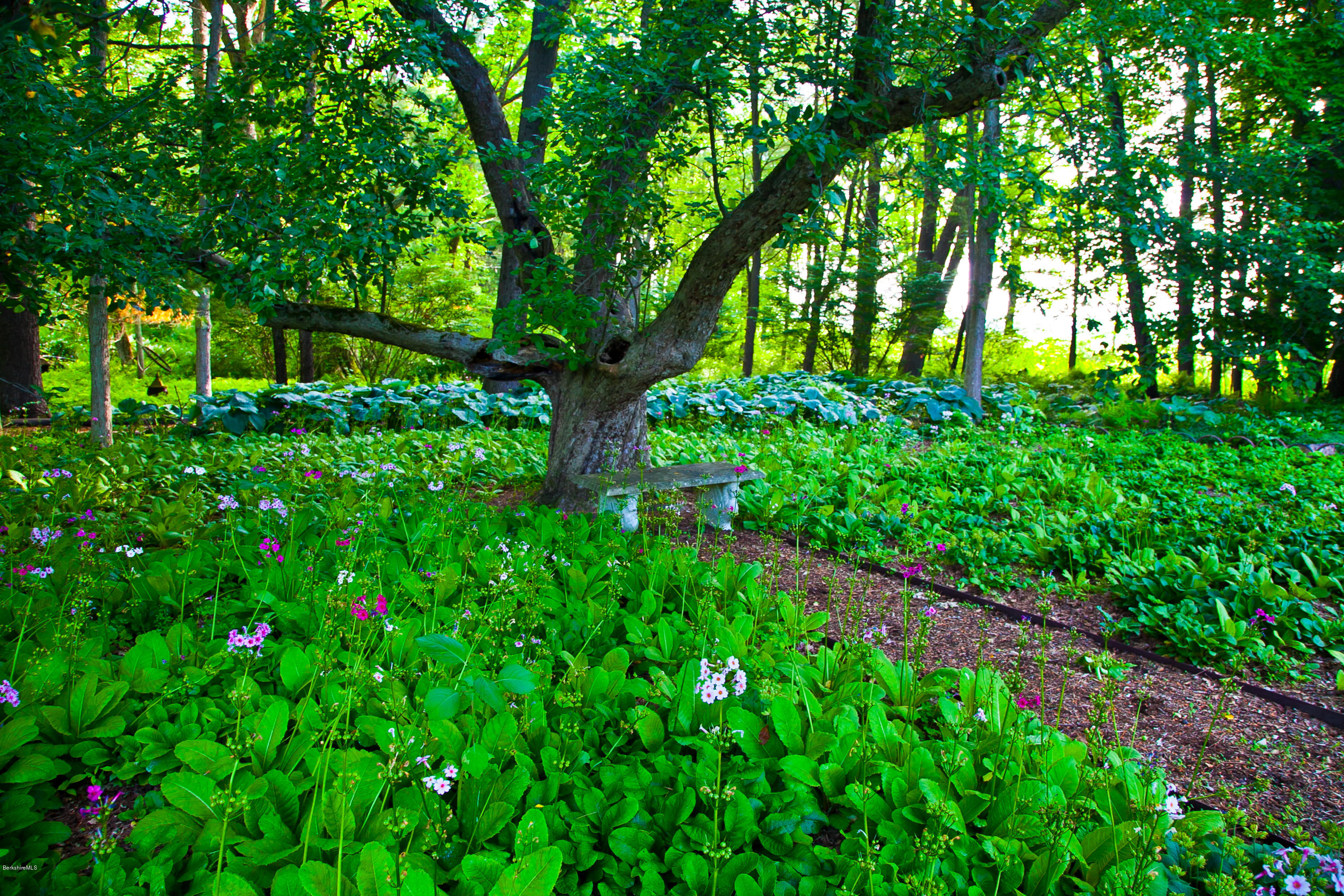 514 Rannapo Road Sheffield, MA 01257 - Photo 77 of 83 65 tree with under garden