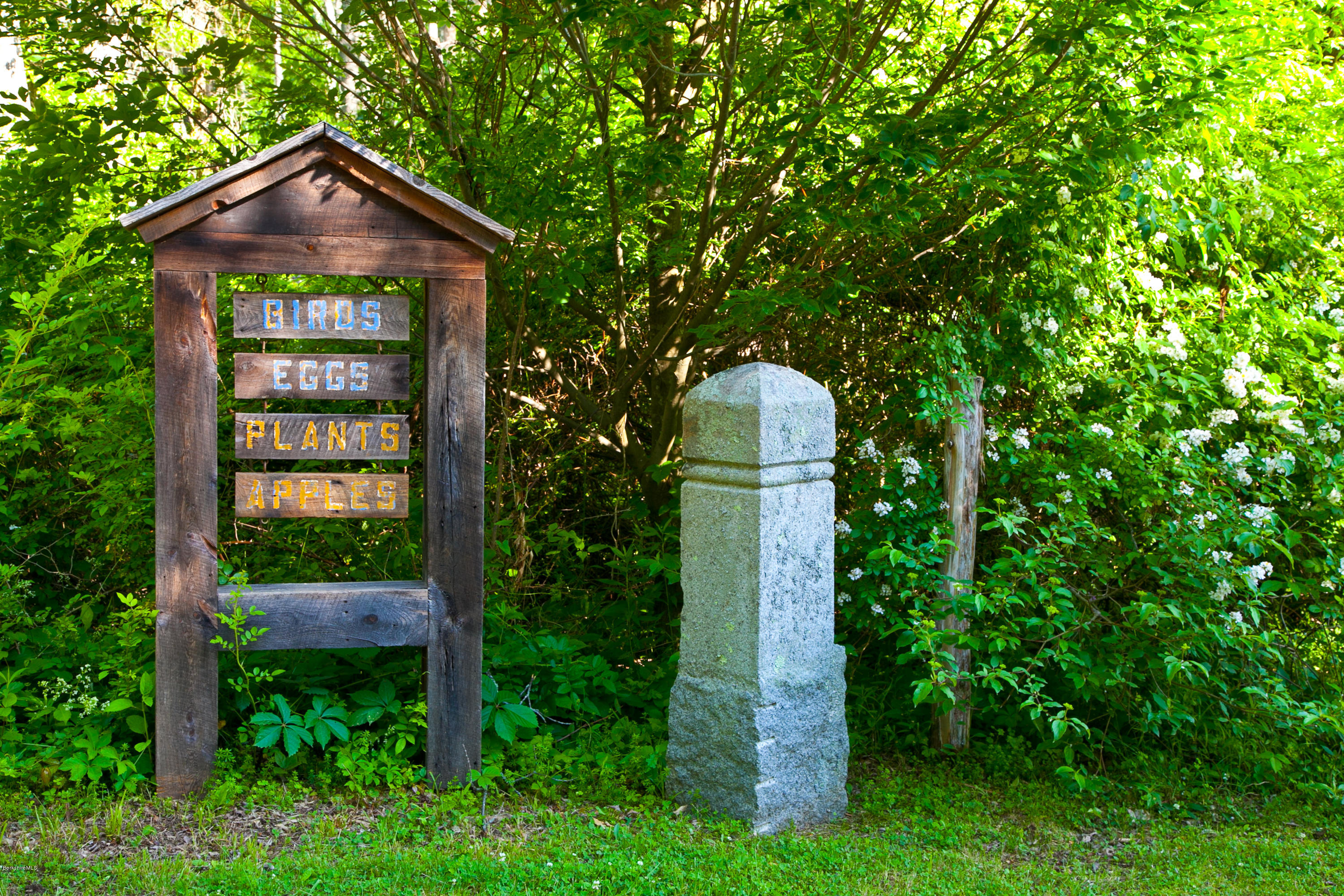 514 Rannapo Road Sheffield, MA 01257 - Photo 82 of 83 72 Rear entrance