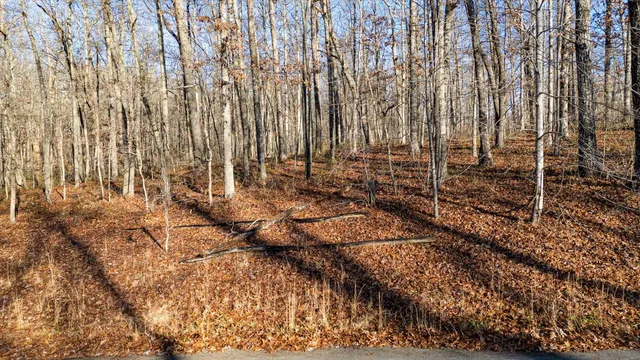 $37,000 | 0 Shadow Rock Drive, Unit LOT 9, Monteagle, TN 37356