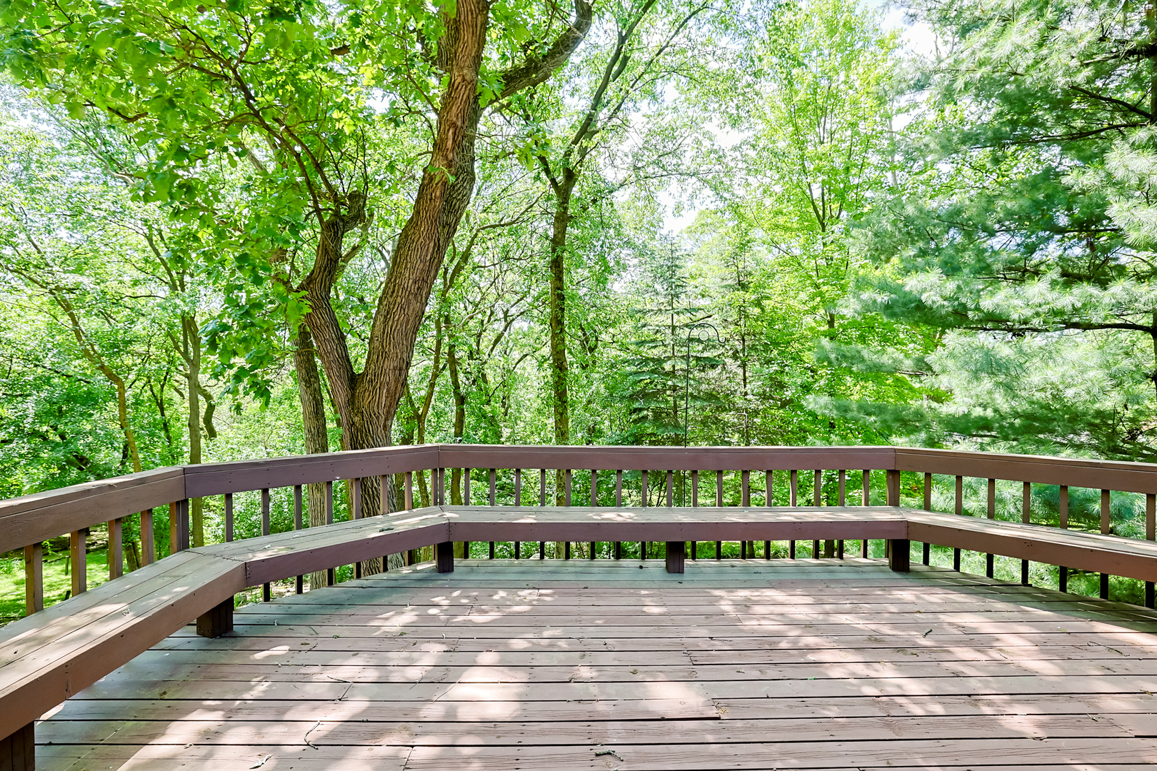 437 High Road Cary, IL 60013 - Photo 4 of 48 a view of a street with large trees