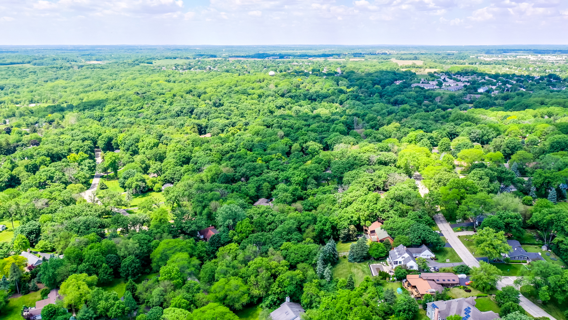 437 High Road Cary, IL 60013 - Photo 47 of 48 a view of a garden
