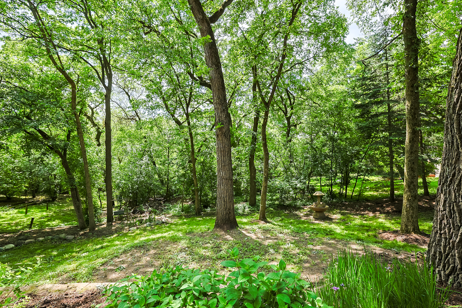 437 High Road Cary, IL 60013 - Photo 5 of 48 a view of outdoor space and green space