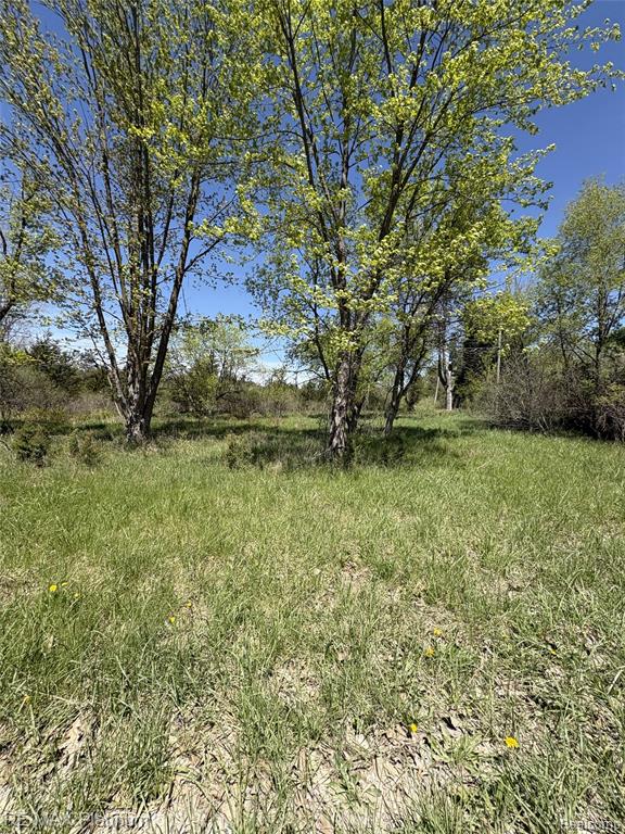 Parcel 7 Fisher Road Howell, MI 48855 - Photo 6 of 7