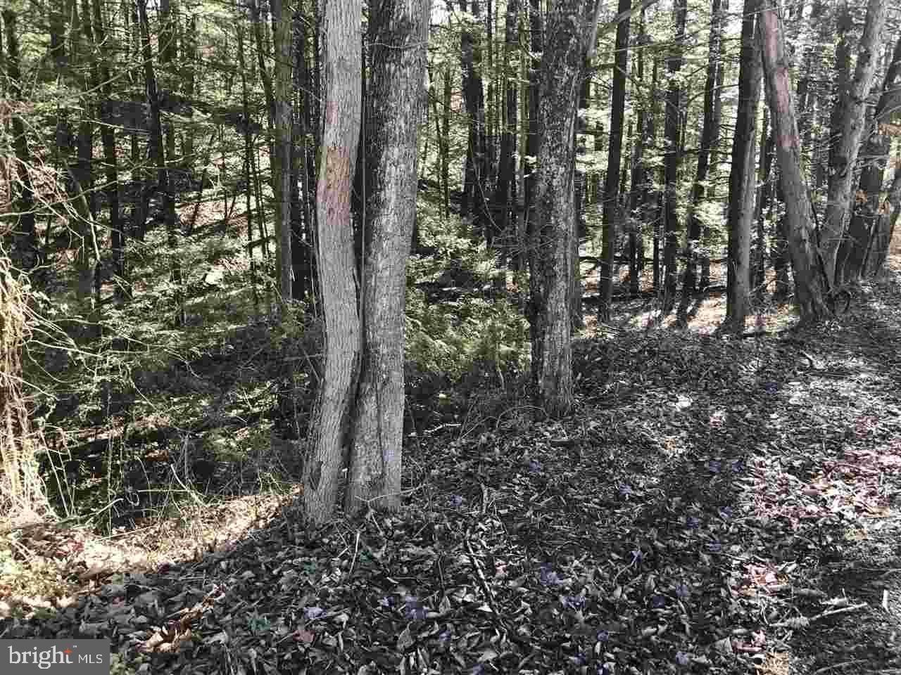 St Samuels Road Newport, PA 17074 - Photo 4 of 8 Gallery Image 4