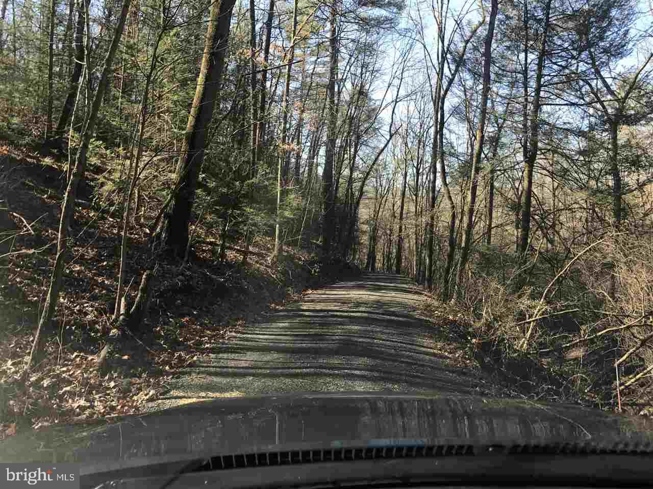 St Samuels Road Newport, PA 17074 - Photo 5 of 8 Gallery Image 5