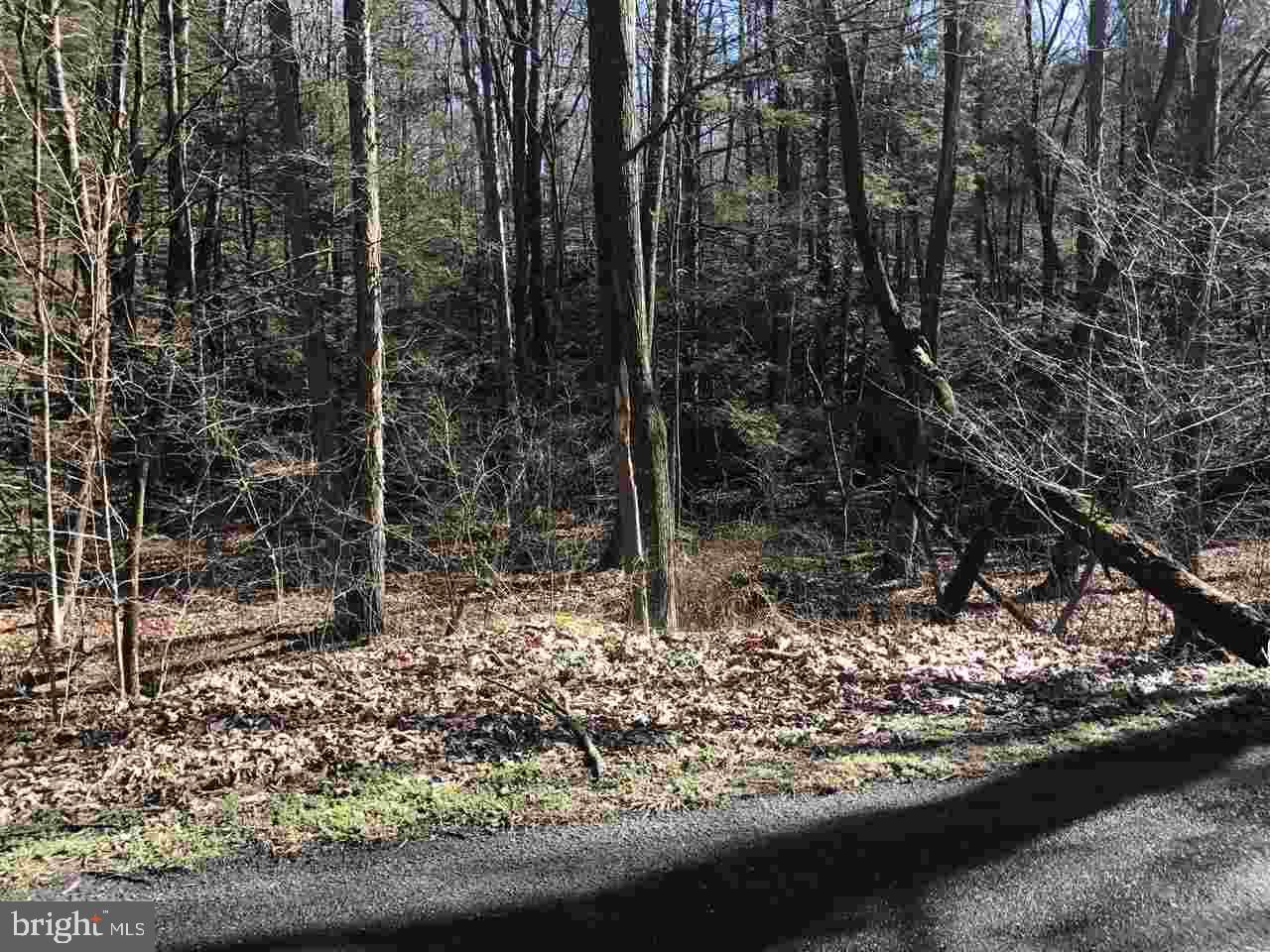 St Samuels Road Newport, PA 17074 - Photo 6 of 8 Gallery Image 6