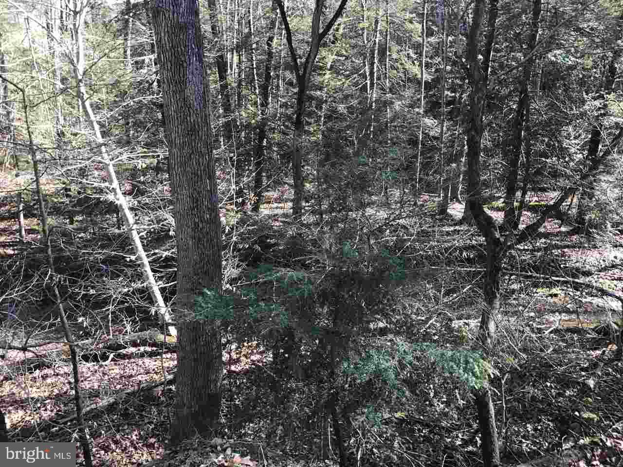 St Samuels Road Newport, PA 17074 - Photo 7 of 8 Gallery Image 7
