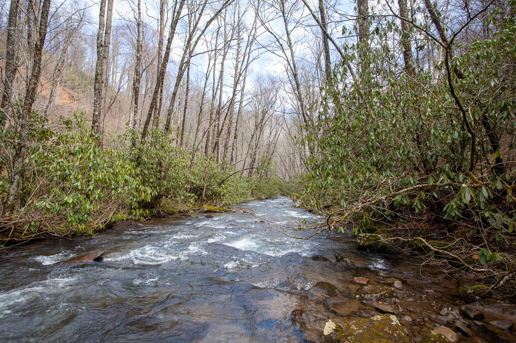 0 Little Snowbird Road Robbinsville, NC 28771 - Photo 18 of 19 Gallery Image 18
