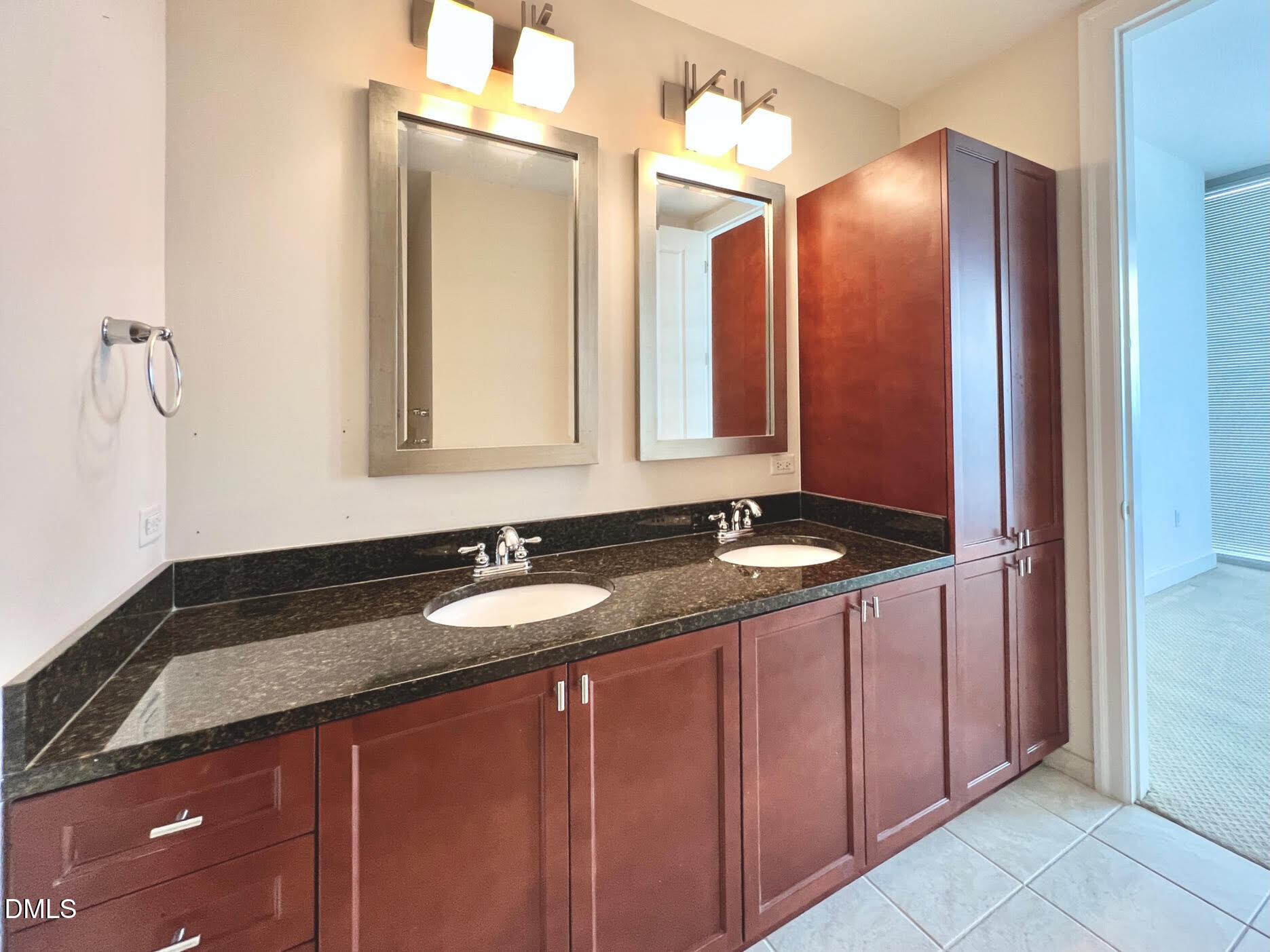 301 Fayetteville Street Raleigh, NC 27601 - Photo 10 of 20 Master Bath Vanity