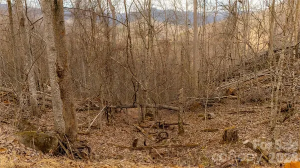 a view of a yard with trees in the background