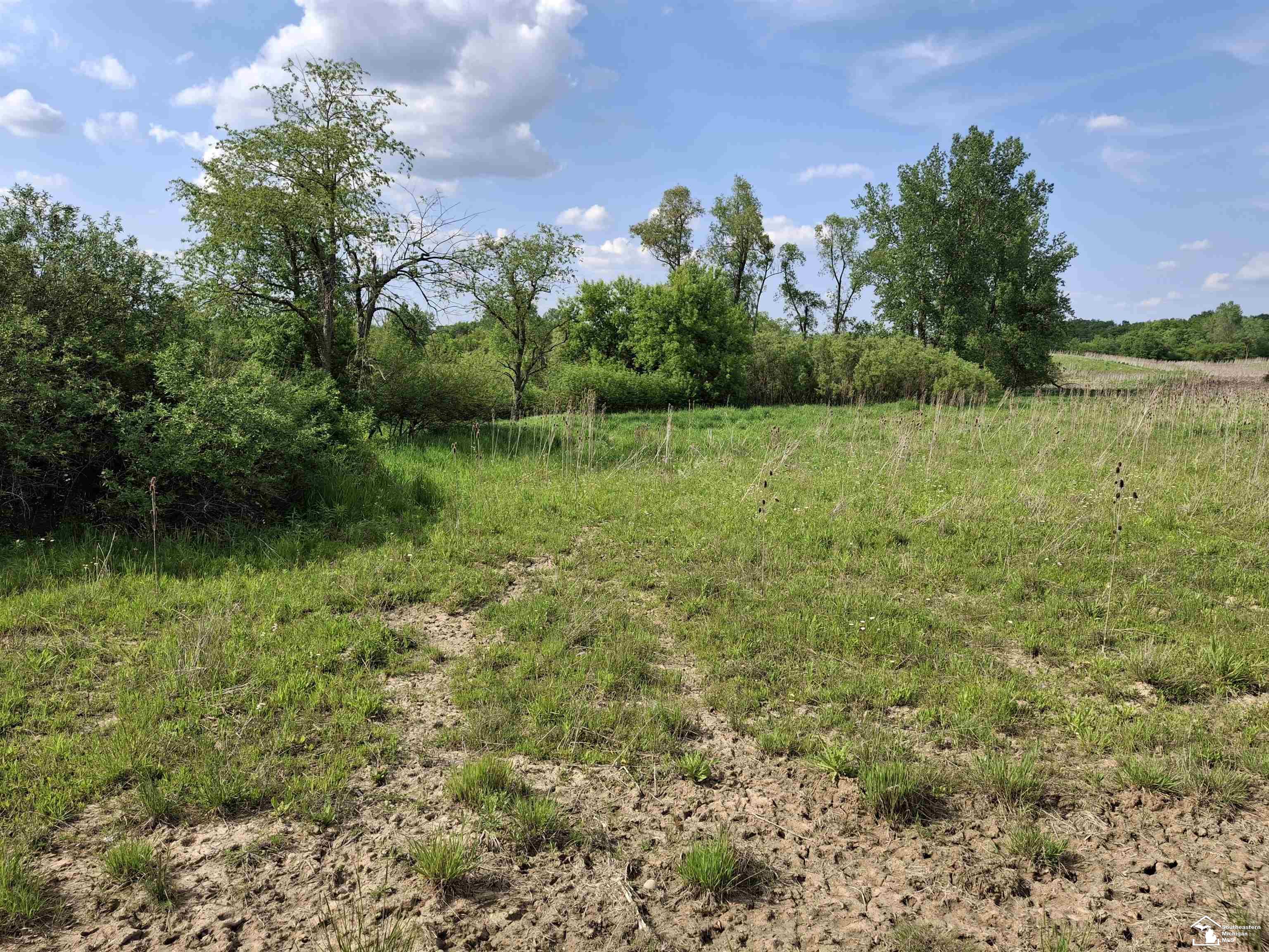 15000 Beecher Road Hudson, MI 49247 - Photo 7 of 10