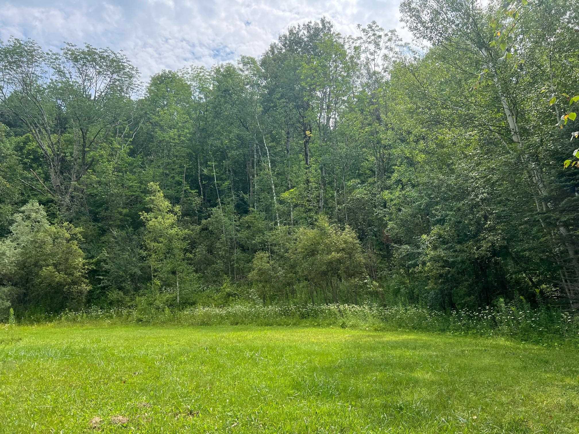 2506 Danby Mountain Road Dorset, VT 05251 - Photo 21 of 27