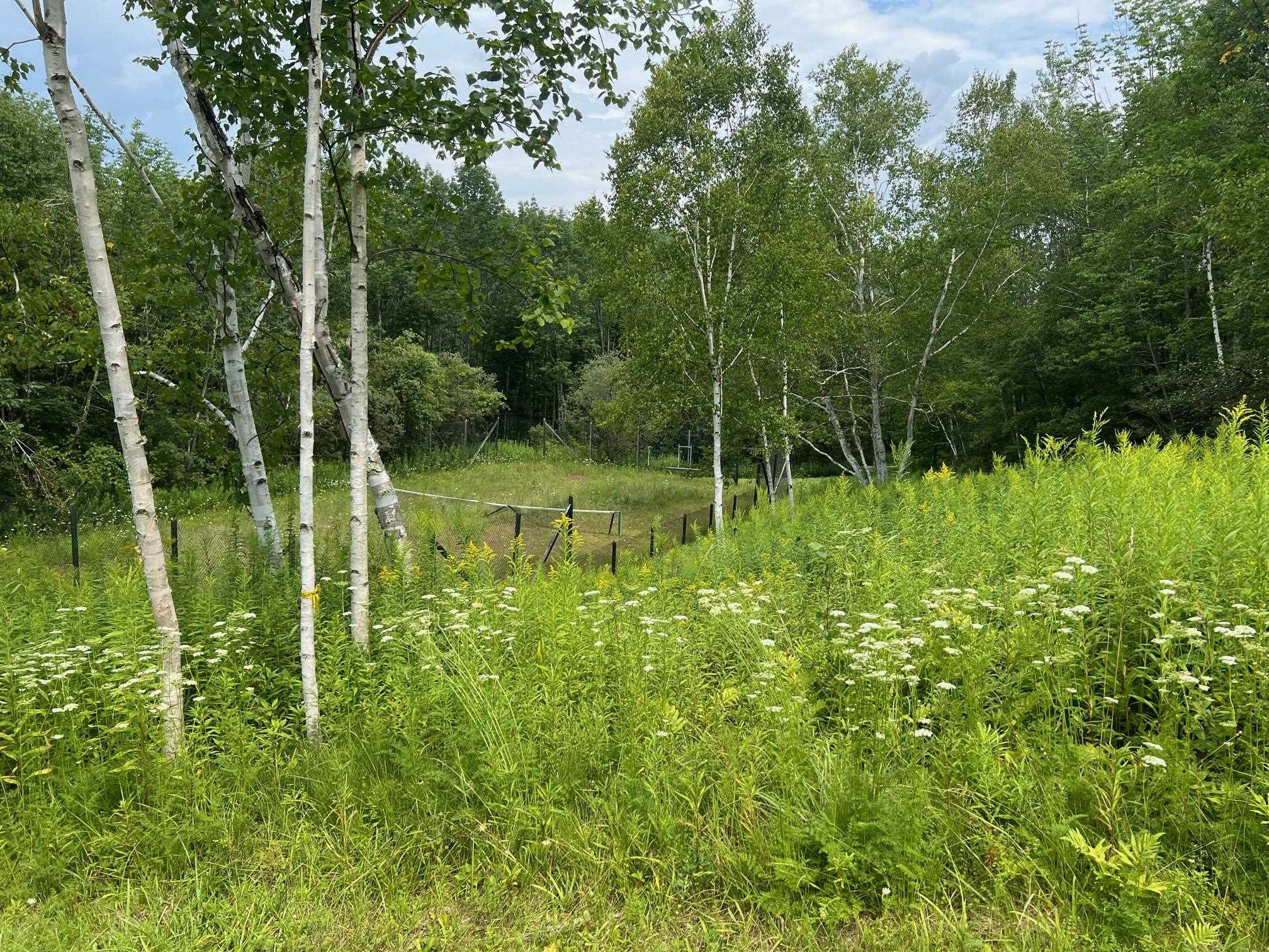 2506 Danby Mountain Road Dorset, VT 05251 - Photo 22 of 27
