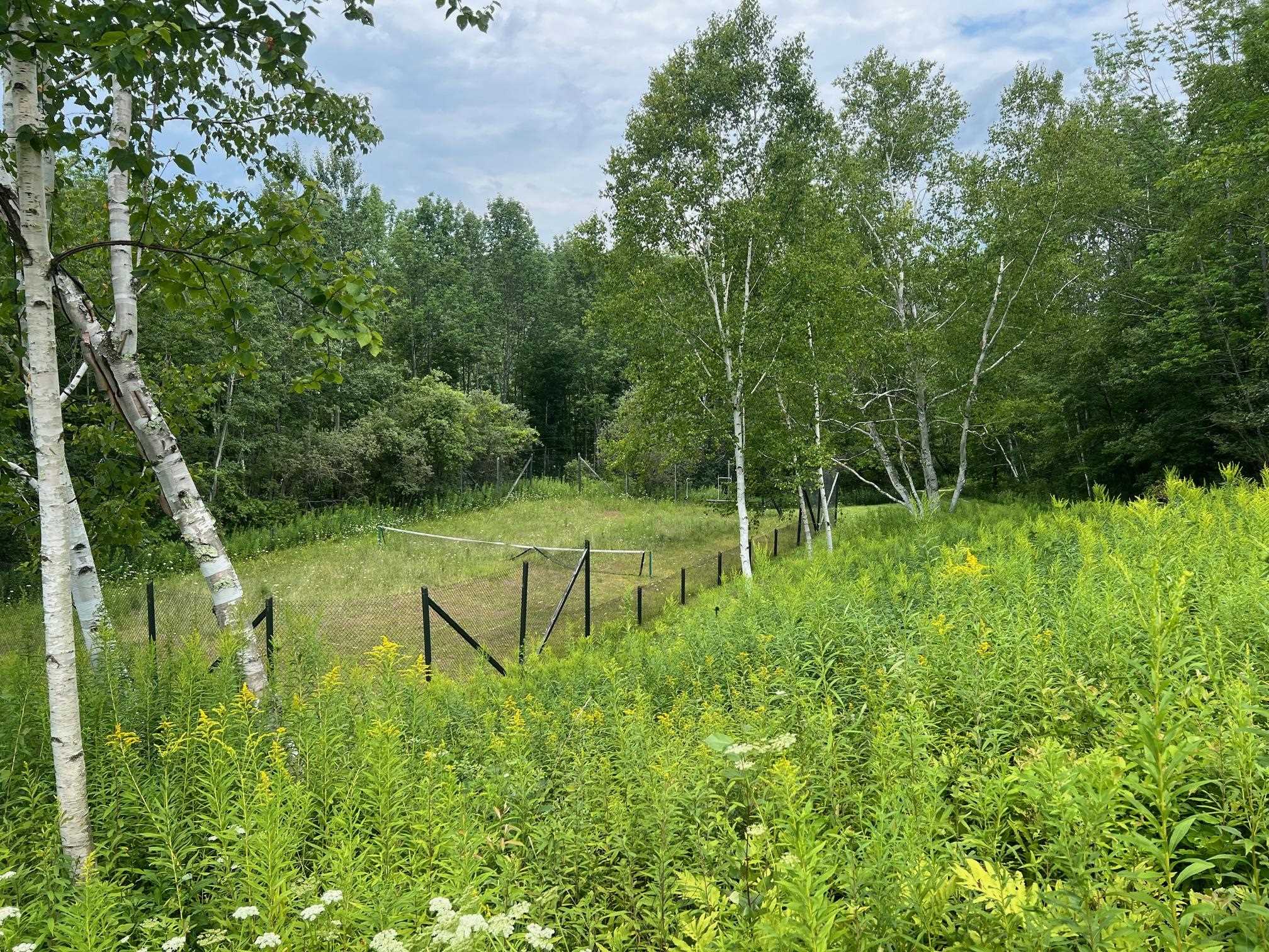 2506 Danby Mountain Road Dorset, VT 05251 - Photo 24 of 27
