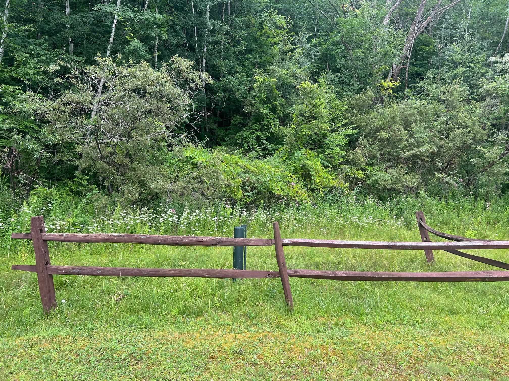 2506 Danby Mountain Road Dorset, VT 05251 - Photo 10 of 27