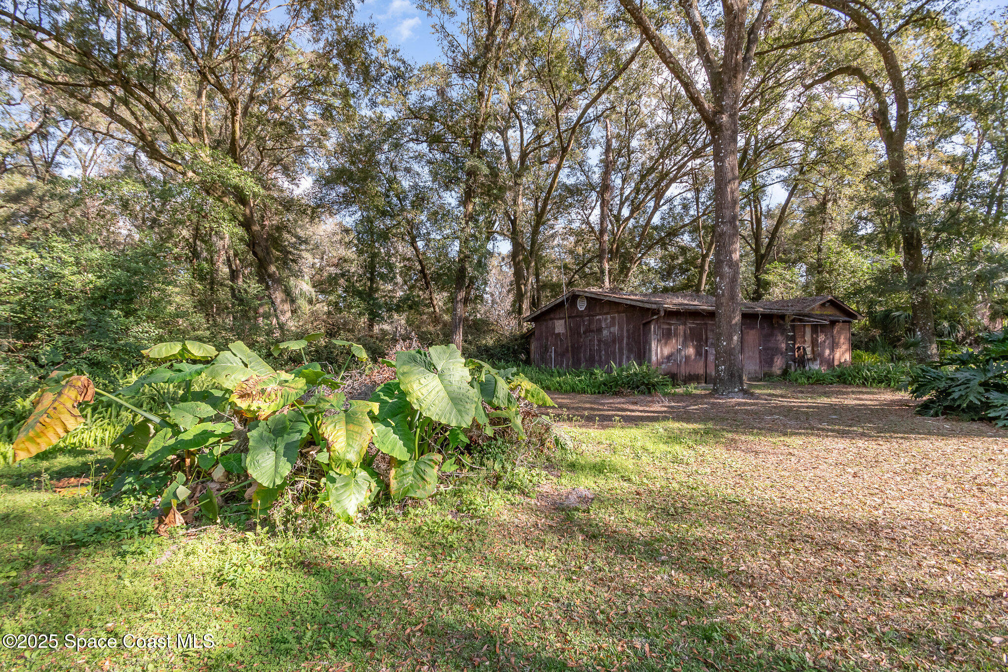 2351 Mandarin Road DeLand, FL 32720 - Photo 24 of 24 030_dsc_0509-edit_980