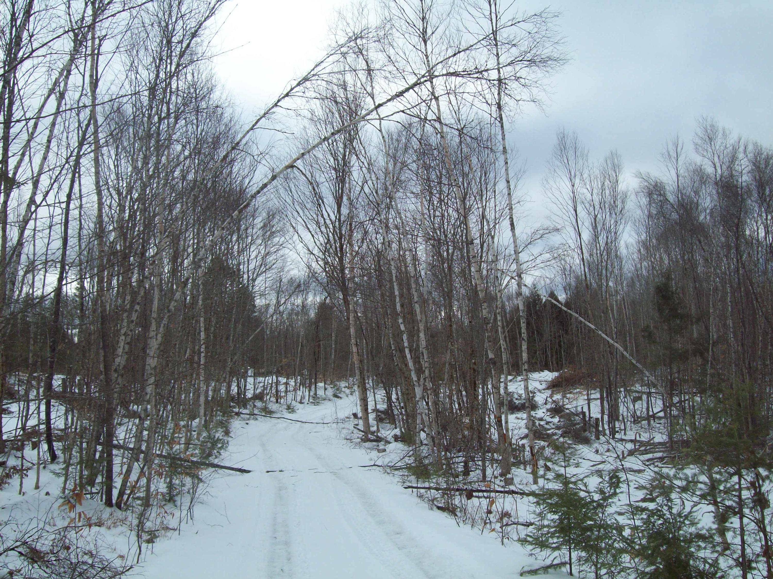 Tbd Hale Farm Road Lee, ME 04455 - Photo 5 of 23 100_0647