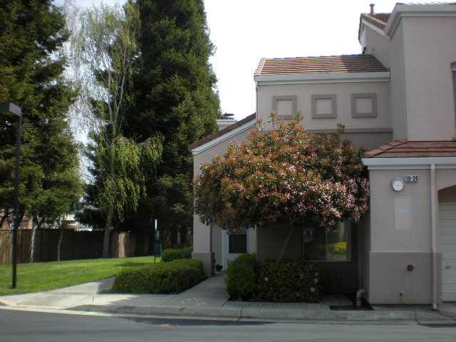20 Torregata Loop San Jose, CA 95134 - Photo 11 of 12 a front view of a house with plants and trees